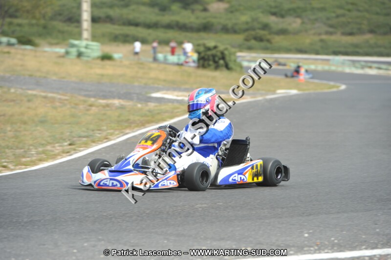 DSC (3551).JPG